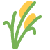طحين